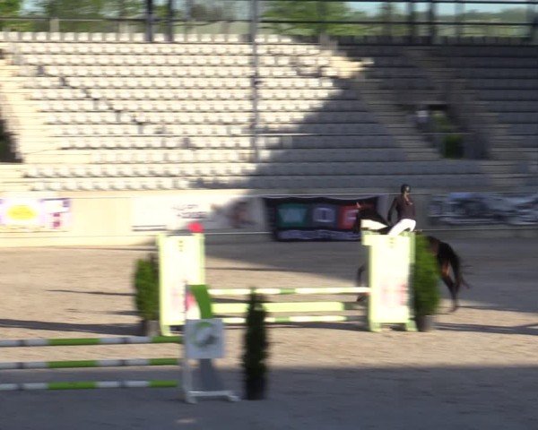Reitturnier Aachen 2025