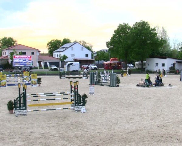 Reitturnier Ingolstadt-Hagau/Obb. 2025