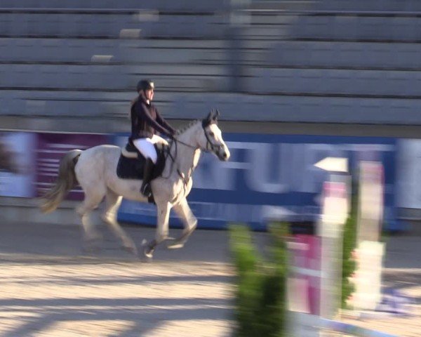 Reitturnier Aachen 2025