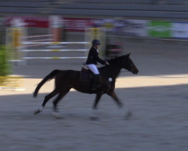 Reitturnier Aachen 2025