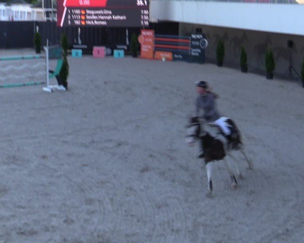 Reitturnier Aachen 2025