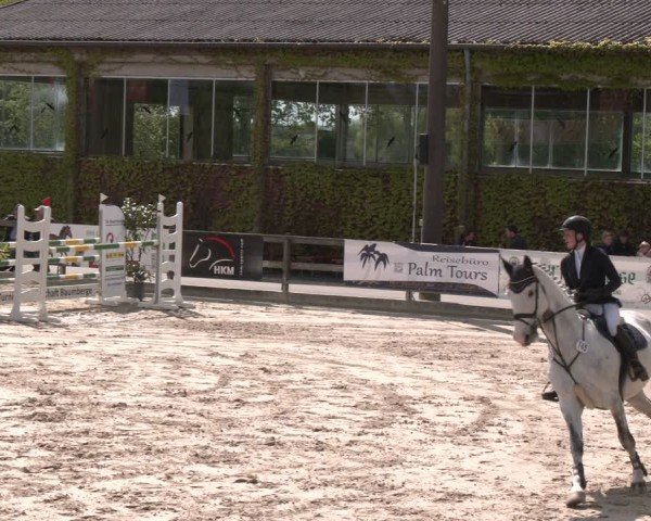 Reitturnier Nienberge 2025
