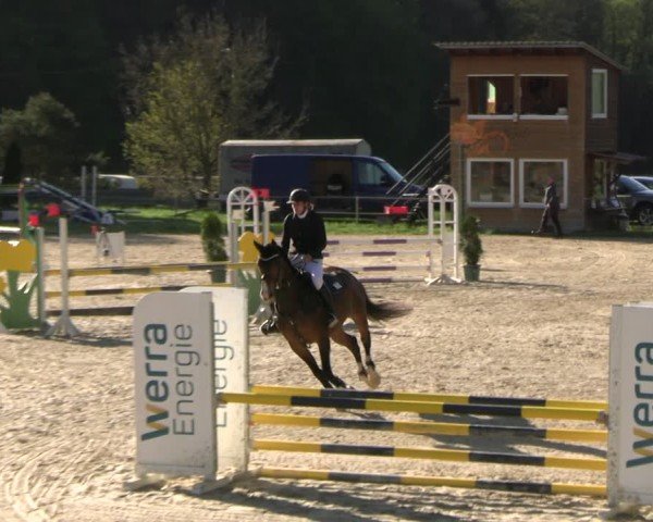 Reitturnier Bad Liebenstein 2025