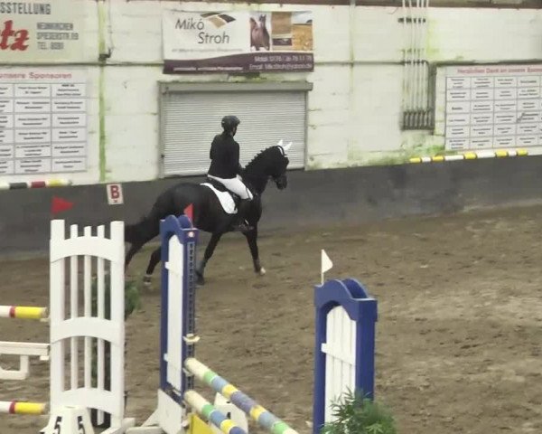 Neunkirchen-Furpach 2014