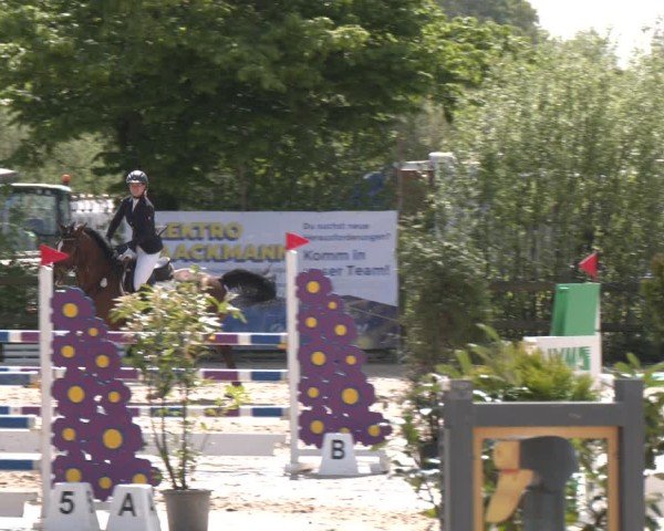Reitturnier Nienberge 2025