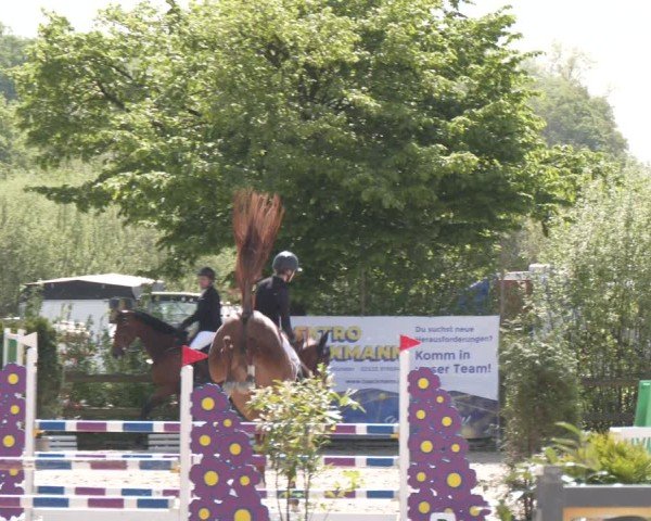 Reitturnier Nienberge 2025