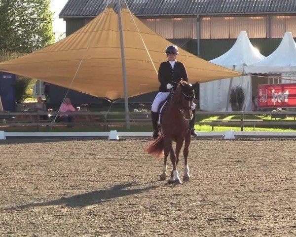 Reitturnier Kleinsolter Turniertage 2025