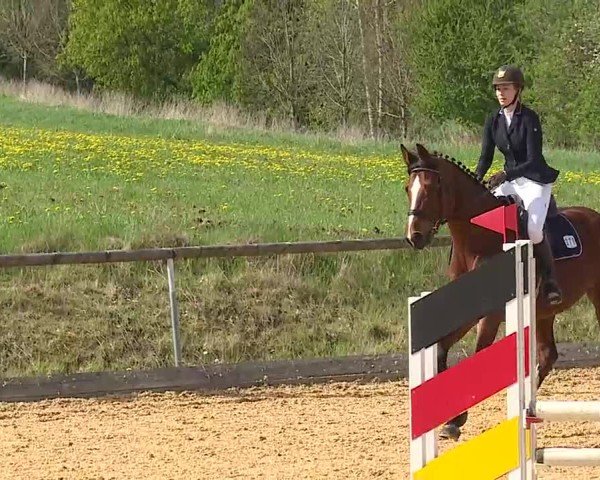 Reitturnier Altentrüdingen 2025