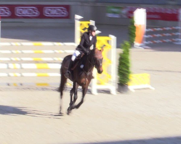 Reitturnier Aachen 2025