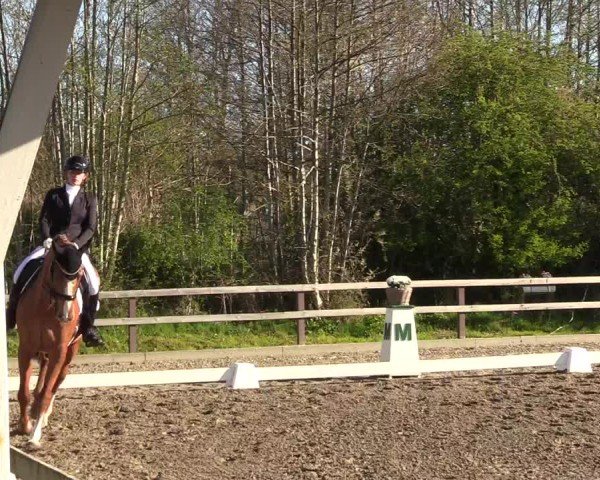 Reitturnier Kleinsolter Turniertage 2025