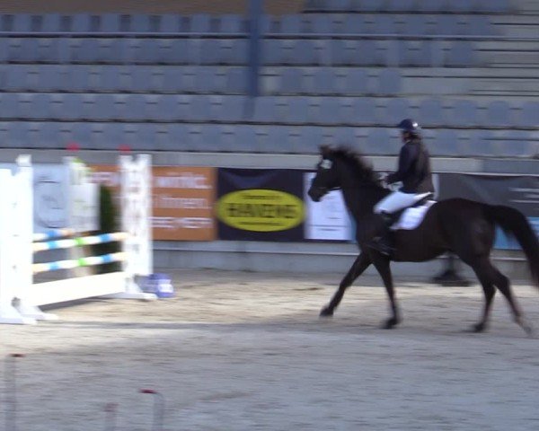 Reitturnier Aachen 2025