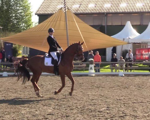 Reitturnier Kleinsolter Turniertage 2025