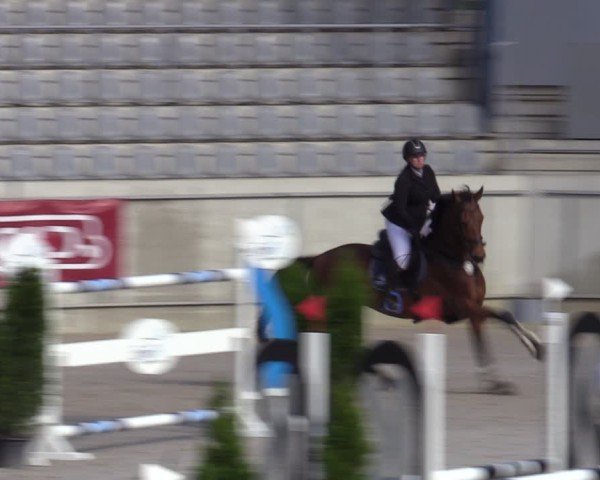 Reitturnier Aachen 2025