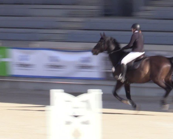 Reitturnier Aachen 2025