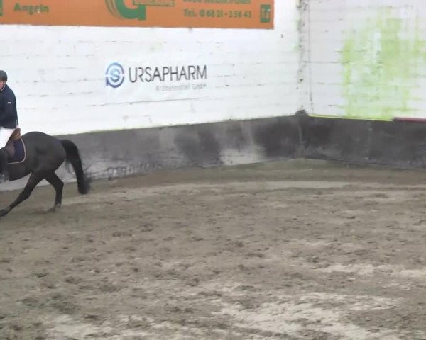 Neunkirchen-Furpach 2014