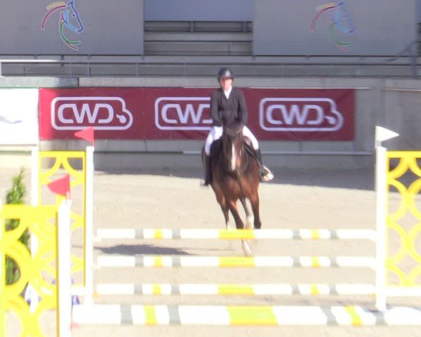 Reitturnier Aachen 2025