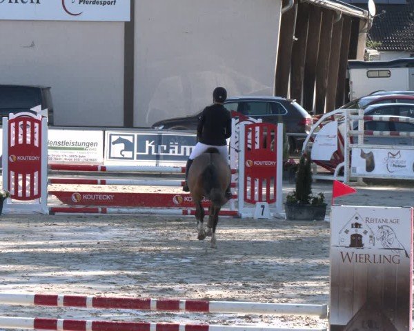 Reitturnier Olfen 2025
