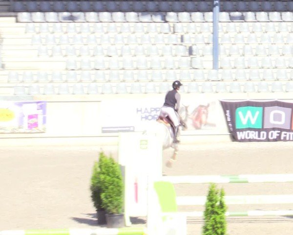 Reitturnier Aachen 2025