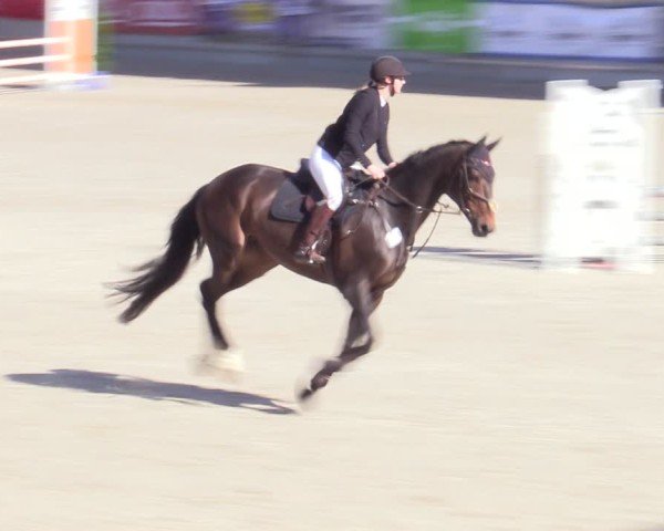 Reitturnier Aachen 2025
