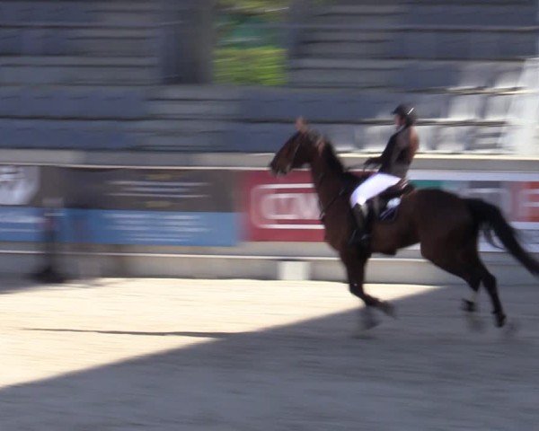 Reitturnier Aachen 2025