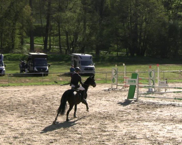 Reitturnier Bad Liebenstein 2025