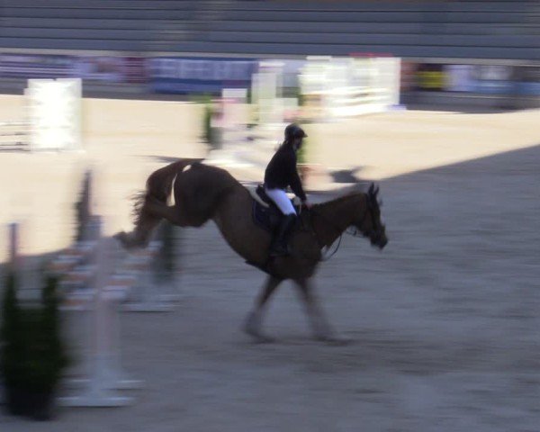 Reitturnier Aachen 2025
