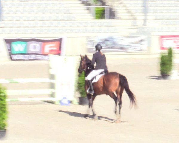 Reitturnier Aachen 2025