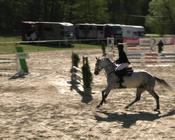 Reitturnier Bad Liebenstein 2025