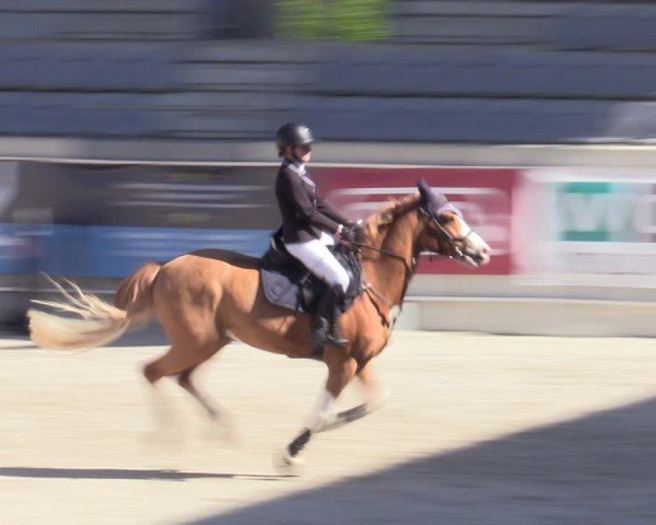 Reitturnier Aachen 2025