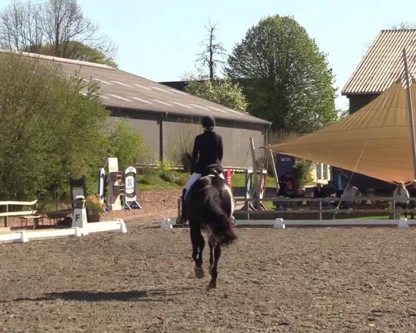 Reitturnier Kleinsolter Turniertage 2025