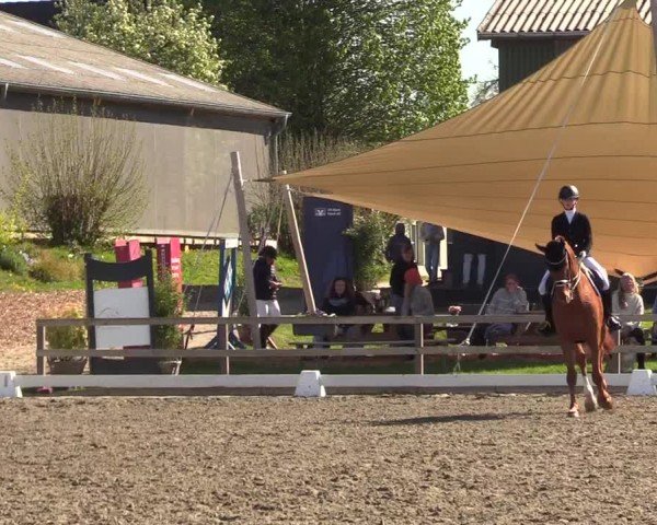 Reitturnier Kleinsolter Turniertage 2025