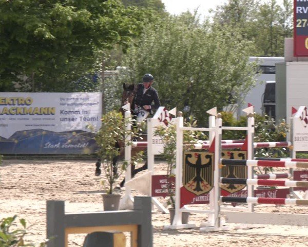 Reitturnier Nienberge 2025