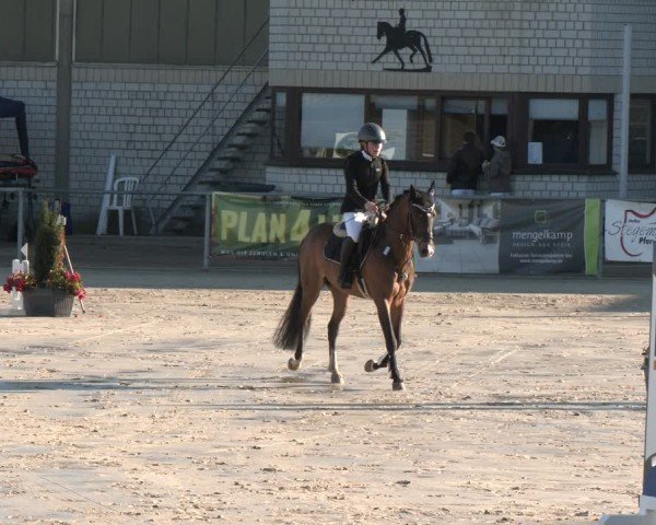 Reitturnier Olfen 2025