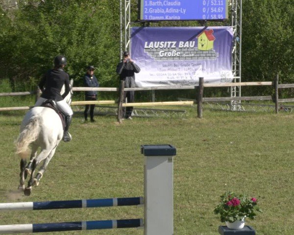 Reitturnier Luckau 2025