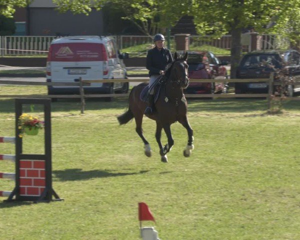 Reitturnier Luckau 2025