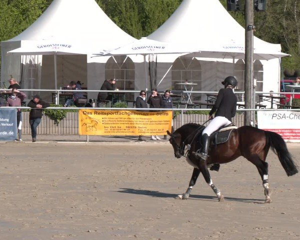Reitturnier Olfen 2025
