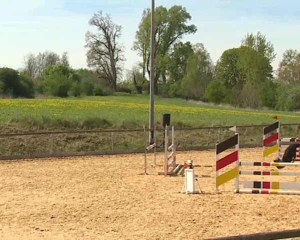 Reitturnier Altentrüdingen 2025