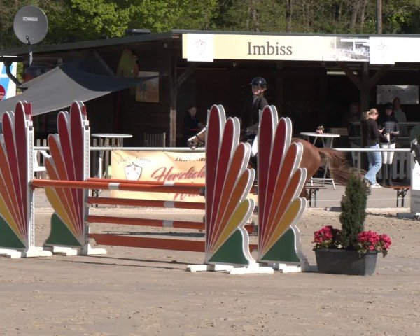 Reitturnier Olfen 2025