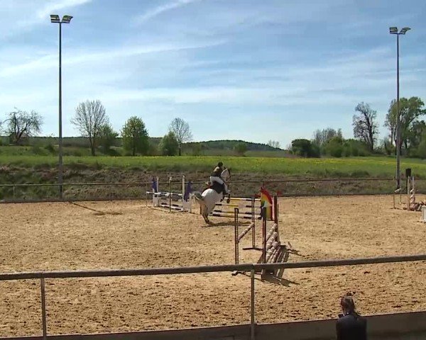 Reitturnier Altentrüdingen 2025