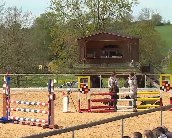 Reitturnier Altentrüdingen 2025