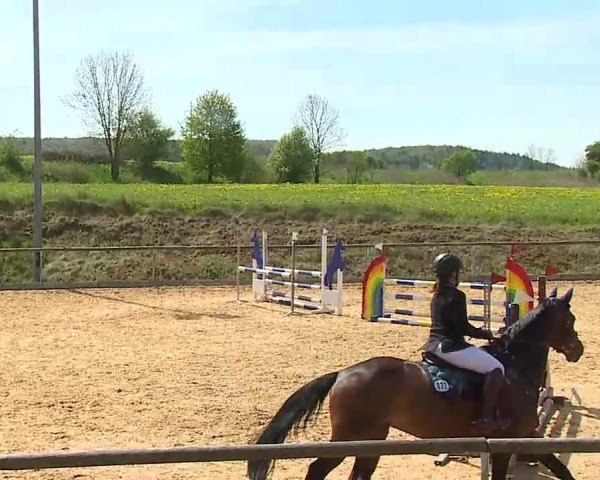 Reitturnier Altentrüdingen 2025
