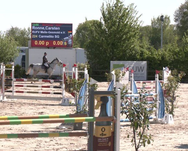 Reitturnier Nienberge 2025