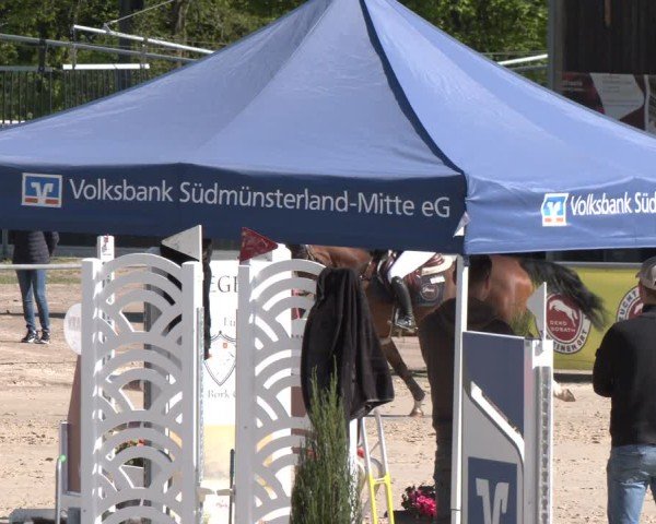 Reitturnier Olfen 2025