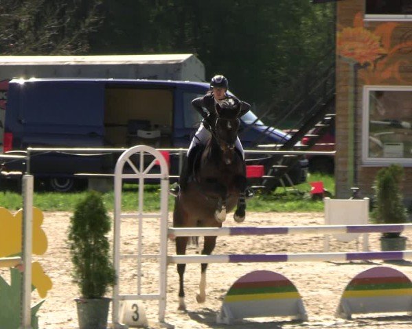 Reitturnier Bad Liebenstein 2025