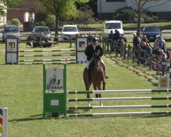 Reitturnier Luckau 2025