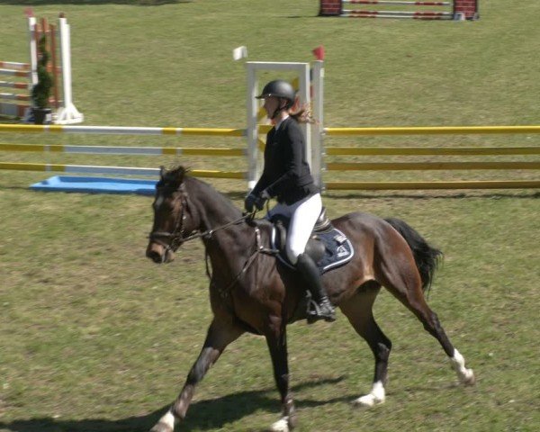 Reitturnier Luckau 2025