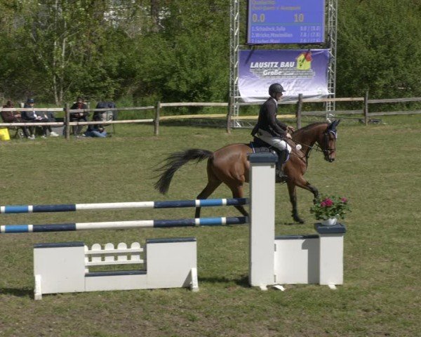 Reitturnier Luckau 2025