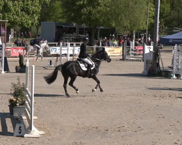 Reitturnier Olfen 2025