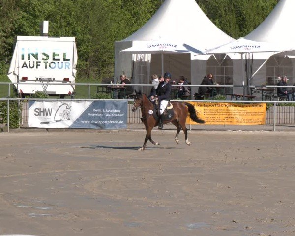 Reitturnier Olfen 2025