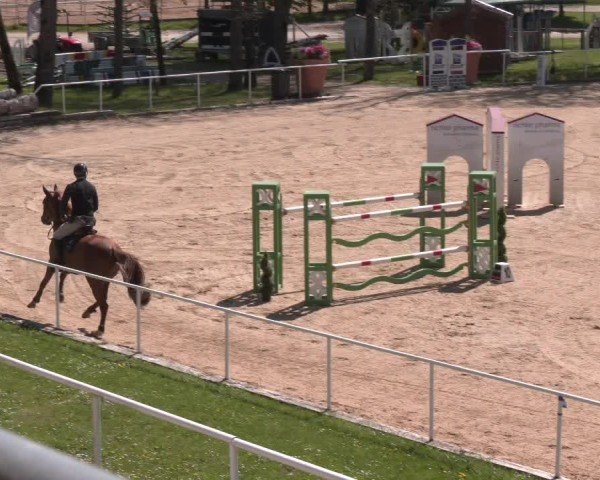 Internationales Springturnier Stadl-Paura 2025
